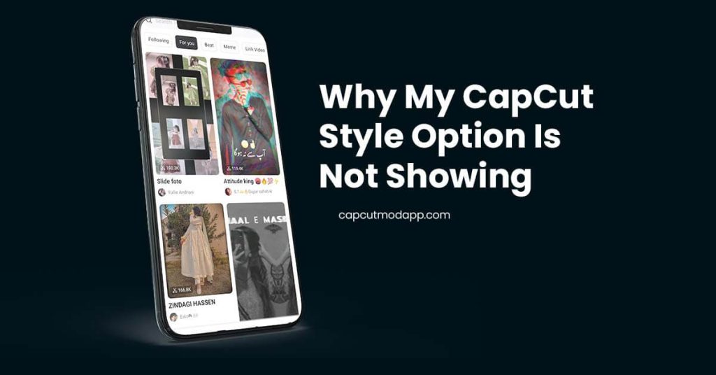 Why My CapCut Style Option Is Not Showing